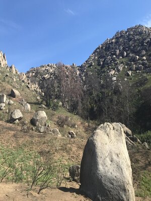 cover image of Over the Hill